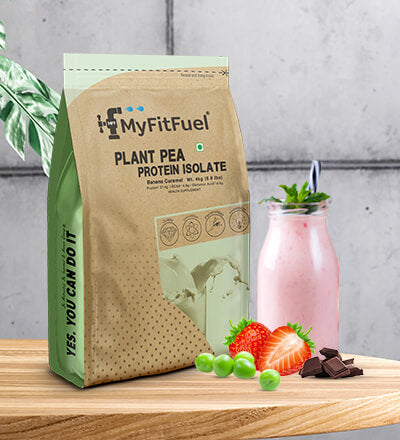 Best Plant Based Protein Powders 2024